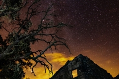 Best_Photos-286
