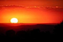 Best_Photos-287