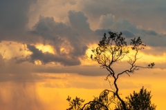 Best_Photos-290