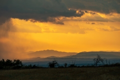 Best_Photos-291