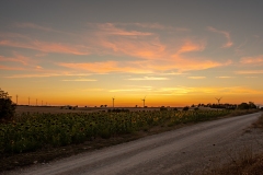 Best_Photos-299