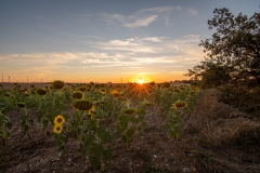 Best_Photos-302
