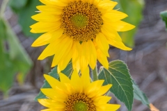 Best_Photos-303