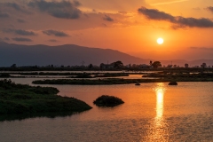 Best_Photos-306