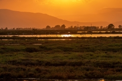 Best_Photos-307