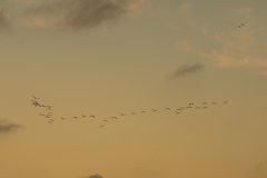 Best_Photos-308