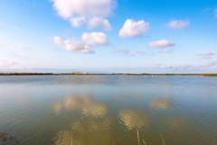 Best_Photos-315