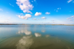 Best_Photos-316
