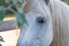Best_Photos-322