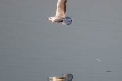 Best_Photos-323