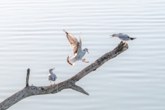 Best_Photos-326