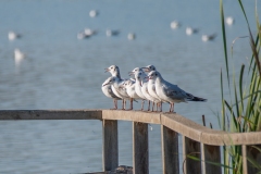 Best_Photos-328