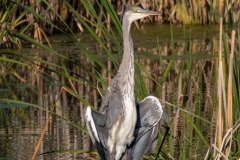 Best_Photos-330