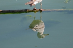Best_Photos-332