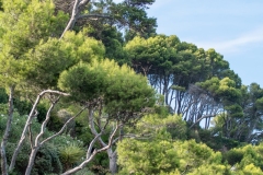 Best_Photos-335