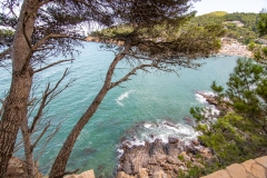 Best_Photos-338