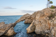 Best_Photos-339