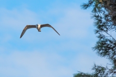 Best_Photos-340