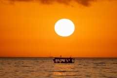 Best_Photos-342