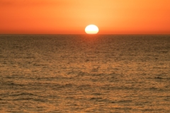 Best_Photos-346