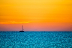 Best_Photos-354