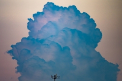 Best_Photos-364