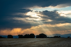 Best_Photos-365