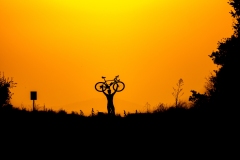 Best_Photos-366