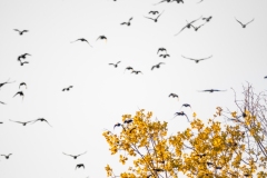 Best_Photos-369