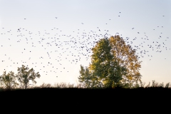 Best_Photos-370