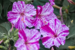Best_Photos-375