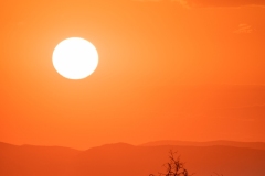 Best_Photos-383