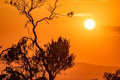 Best_Photos-386