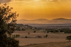 Best_Photos-387