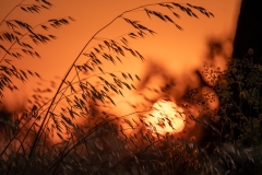 Best_Photos-391