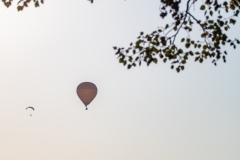 Best_Photos-398