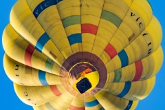 Best_Photos-403