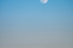 Best_Photos-412