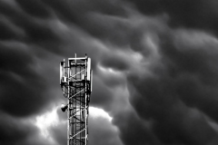 Best_Photos-415