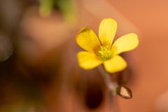 Best_Photos-417