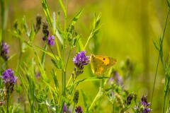 Best_Photos-418