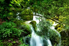 Best_Photos-420