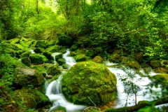 Best_Photos-421