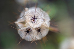 Best_Photos-423