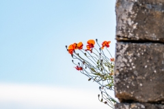 Best_Photos-426