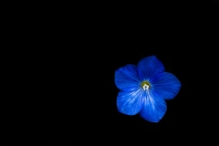 Best_Photos-428