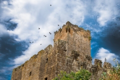 Best_Photos-433