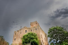 Best_Photos-434