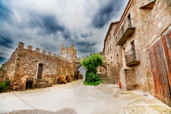 Best_Photos-435