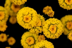Best_Photos-436